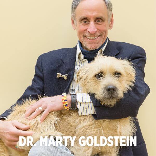 Dr. Marty Goldstein