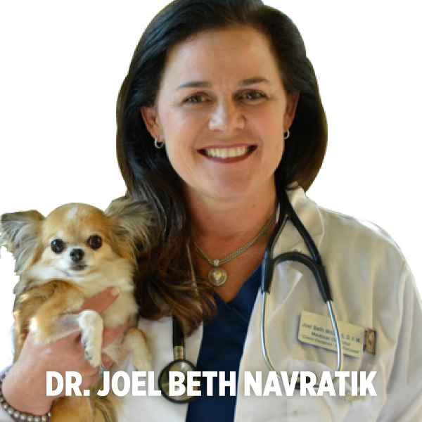 Dr. Joel Beth Navratik